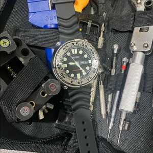 세이코 베이비 튜나 이미지