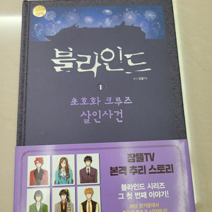 픽셀리 블라인드 전권