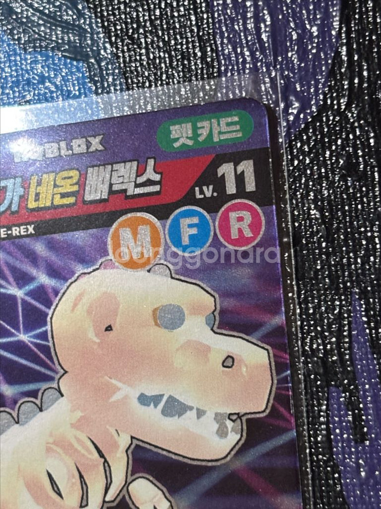 메가 네온 뼈렉스 로블록스 카드 인테리어 소품 꾸미기--2