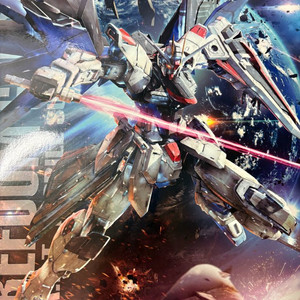 mg 프리덤 건담 2.0