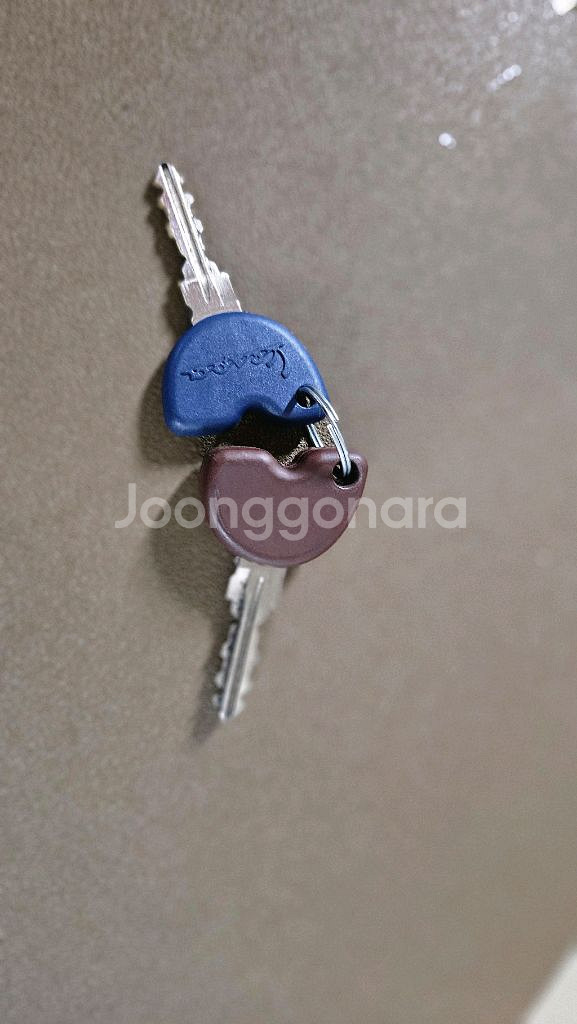 22년식 베스파 프리마베라 125 판매--8