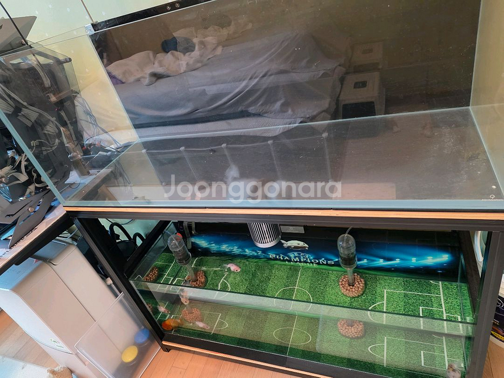 4자 광폭 2단 축양장 팝니다 4자 광폭 4자 중폭--0