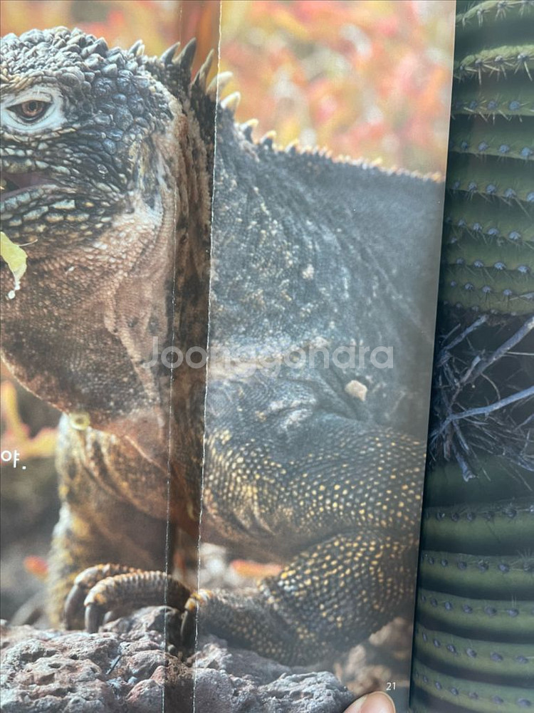 아람자연이랑86권 최신개정판2025년--6