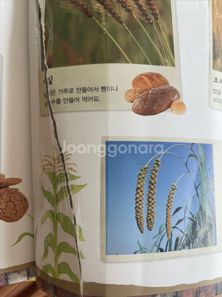 아람자연이랑86권 최신개정판2025년--5