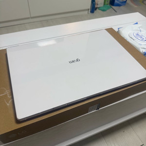 Lg 그램 외장그래픽 (16인치)