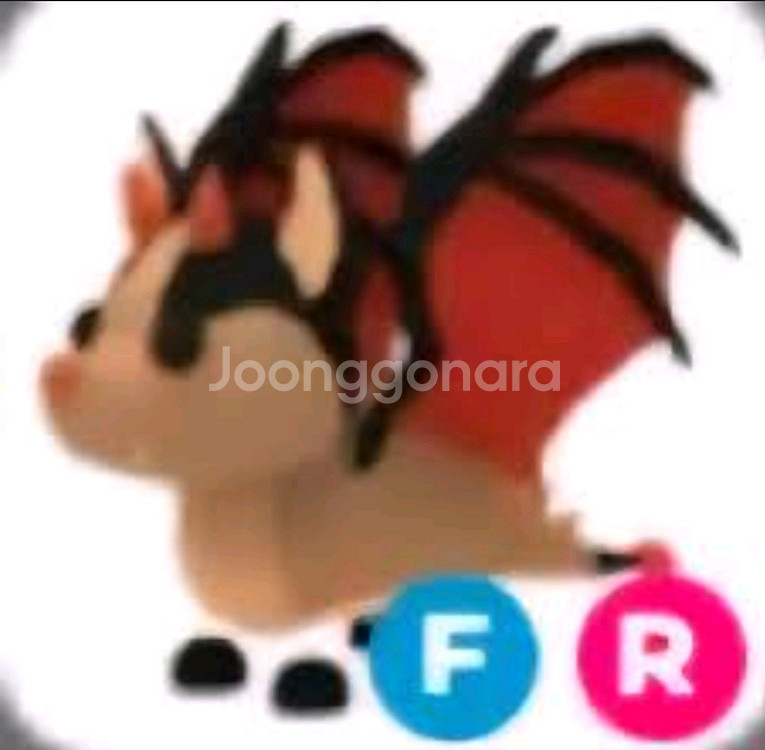 입양하세요 박드 재고 5 3일후에 삭제 급처--0