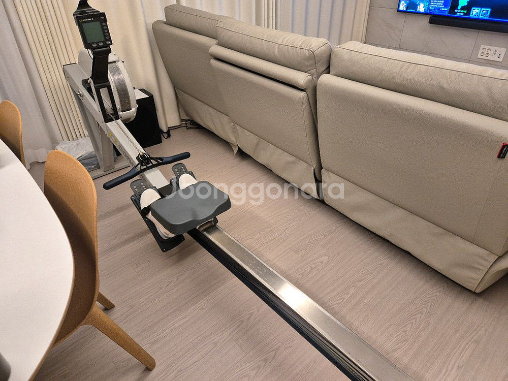 컨셉2 Concept2 로잉머신 Model D--3