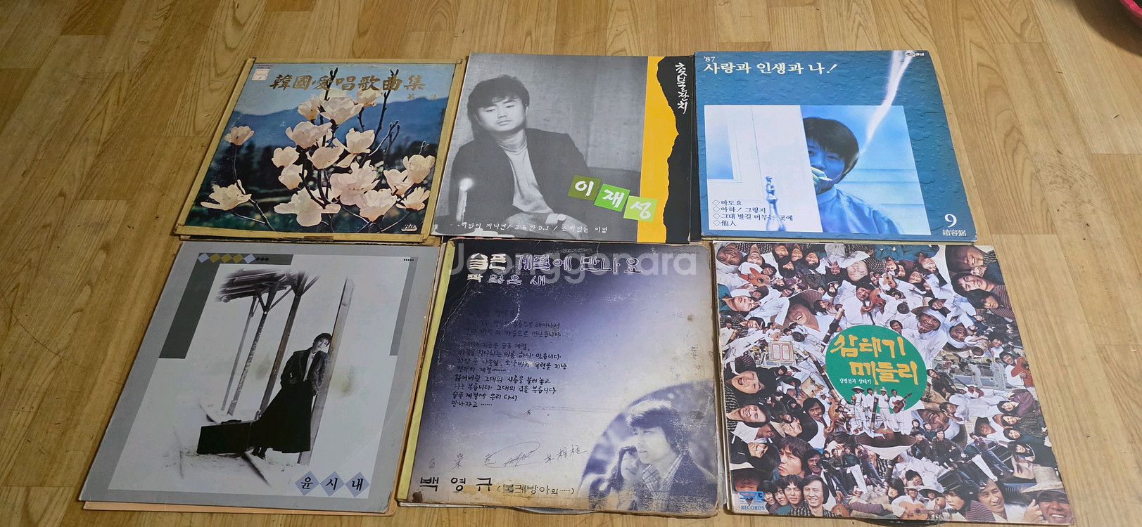LP판 19장 일괄--1