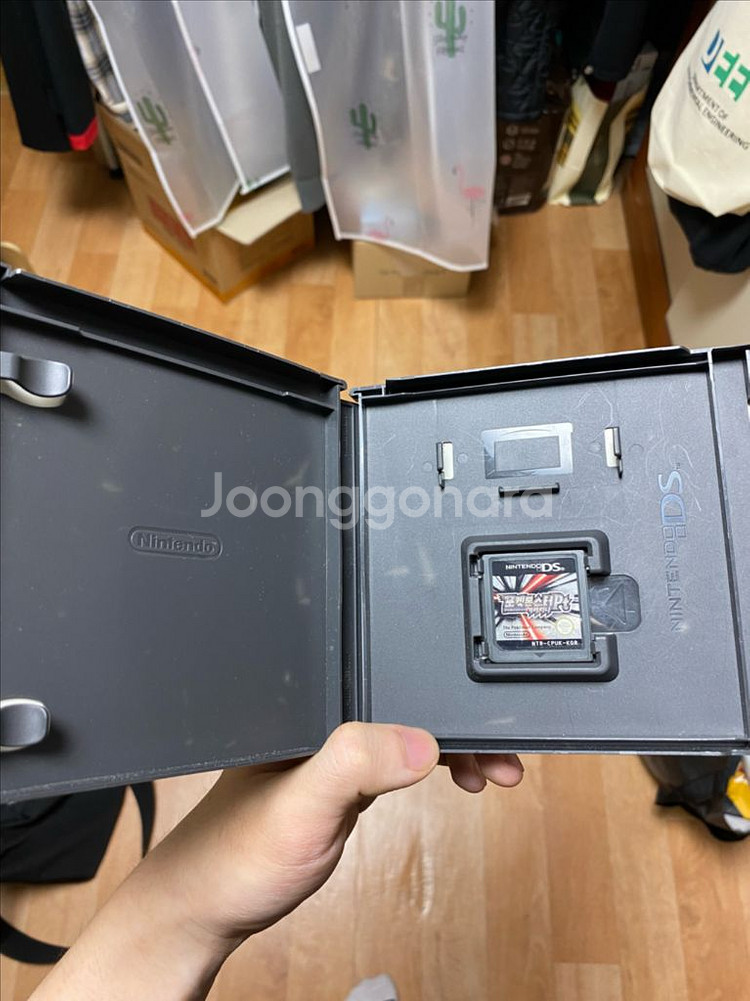 기라티나 ds 칩--1