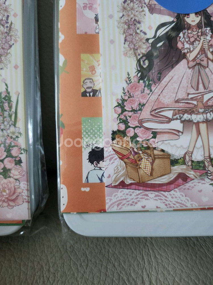 대공가에 입양된 성녀님 틴케이스세트--2