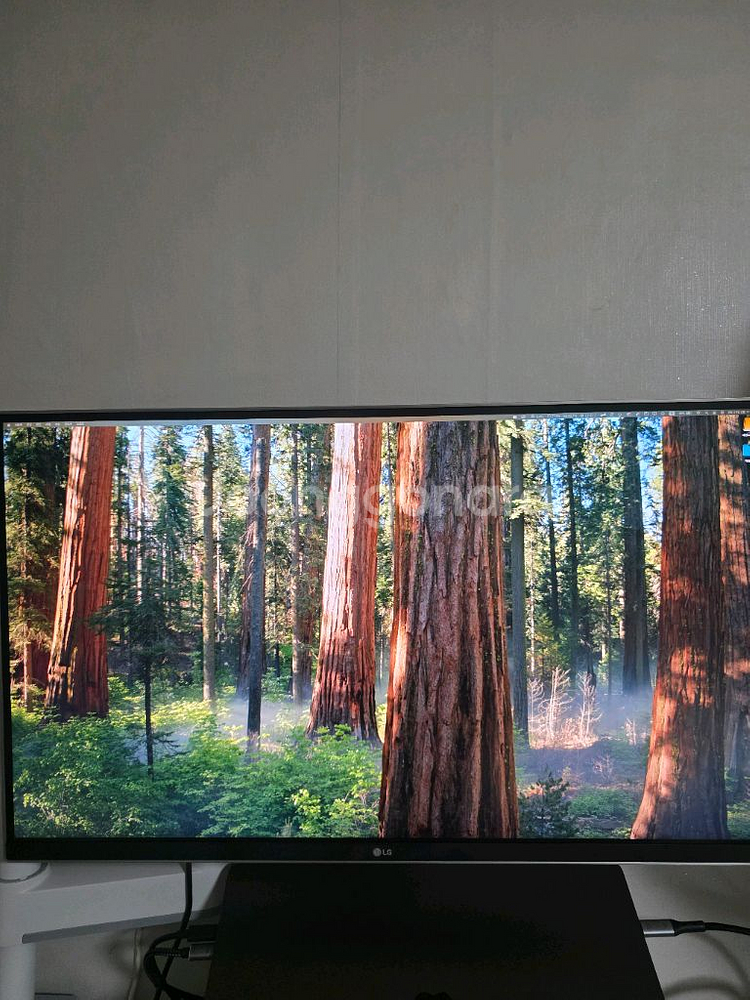 LG 27UD88 27인치 4K UHD IPS 모니터--4