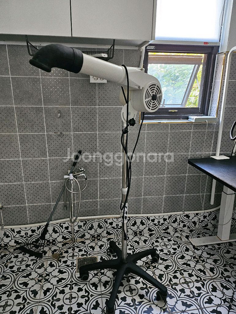 대형견 전동테이블,A플러스 드라이기--1