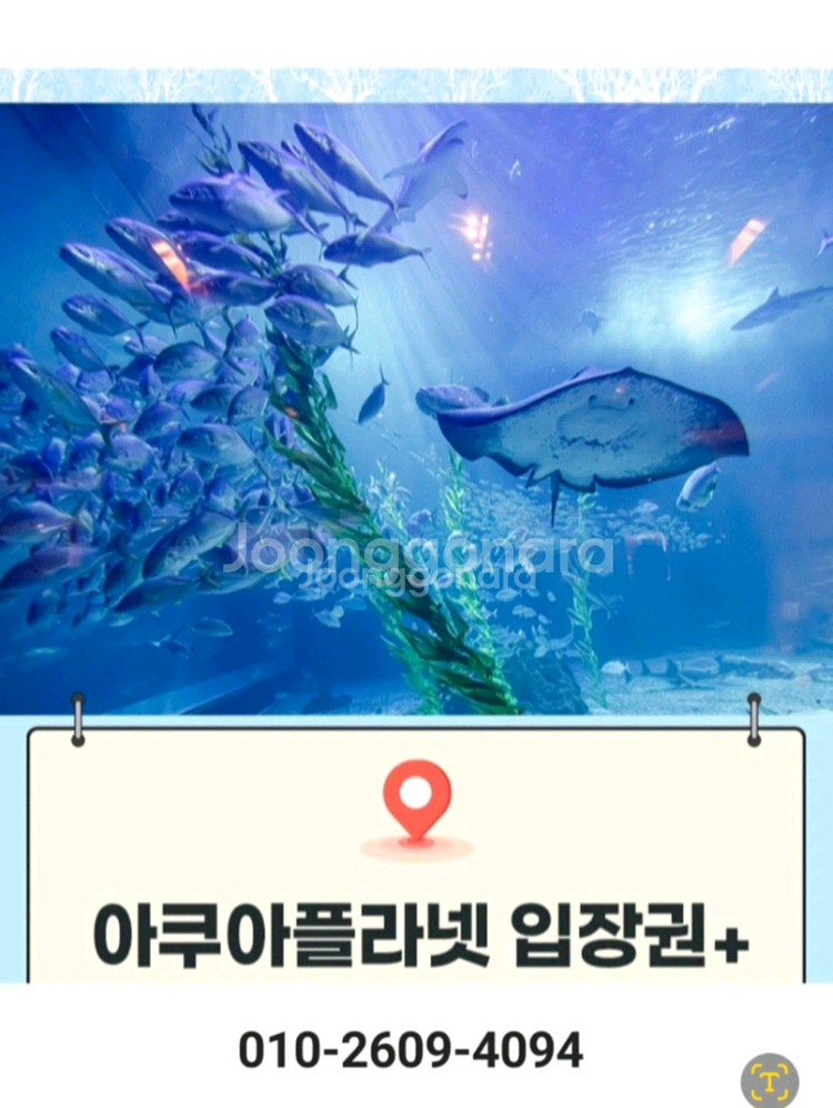 제주/ 여수/ 광교/ 일산 아쿠아플라넷 [빠른답장]--0
