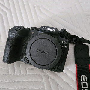 캐논 eos r10 body