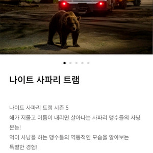 에버랜드 나이트사파리 , 발레파킹 팝니다