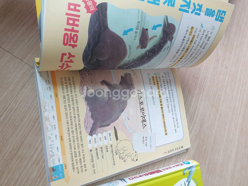 이유가 있어서 멸종했습니다.--3