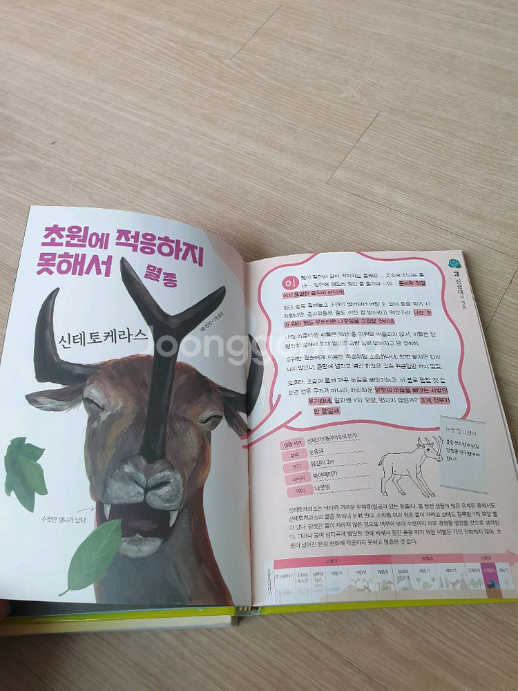 이유가 있어서 멸종했습니다.--2