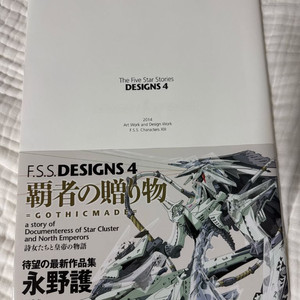 F.S.S. designs4 fss 설정집