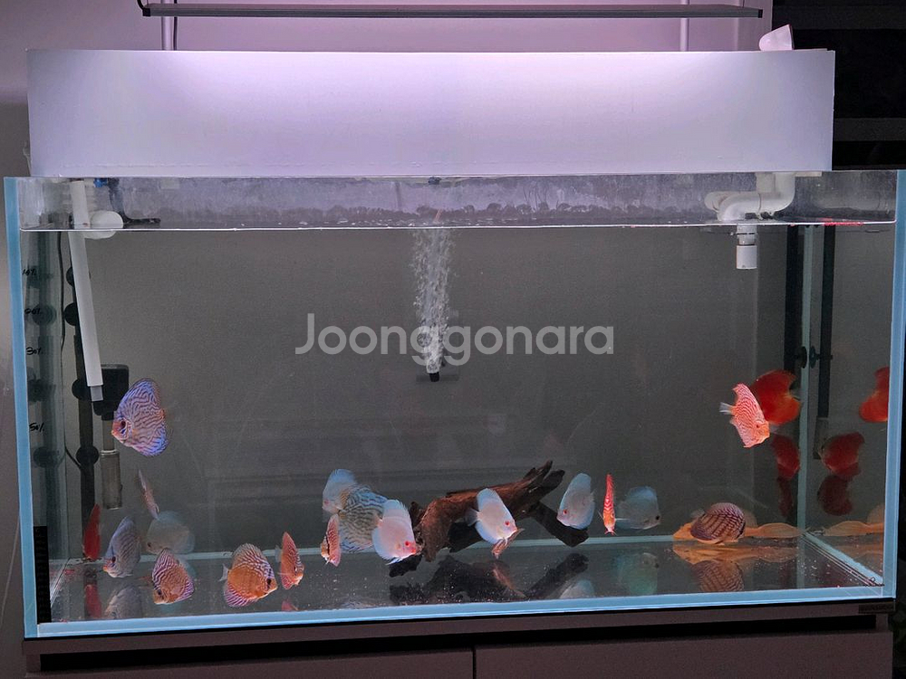 4자 상면여과기 (경북의성.원주)--0
