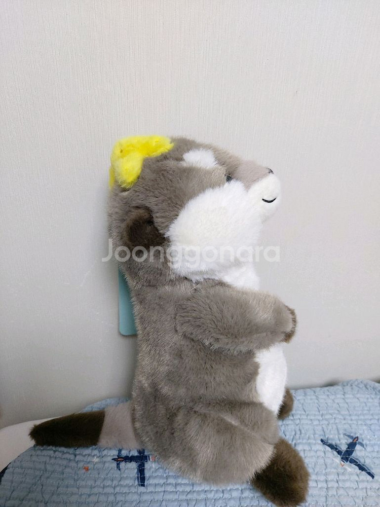 해달수달인형 도모다치 랏고짱 해변 새상품--1
