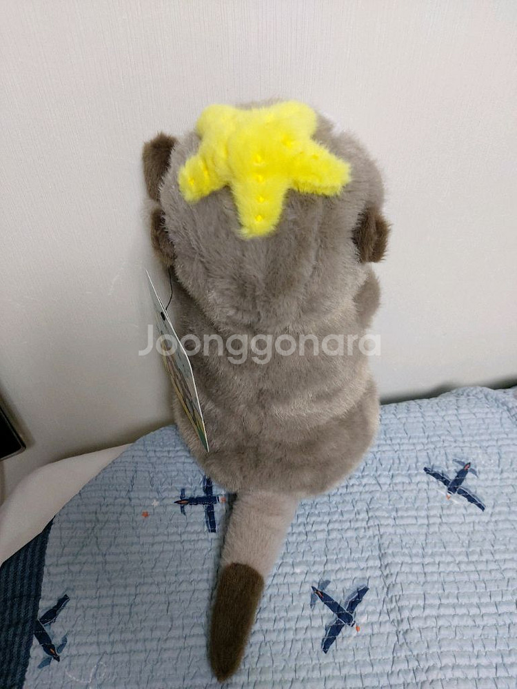 해달수달인형 도모다치 랏고짱 해변 새상품--2