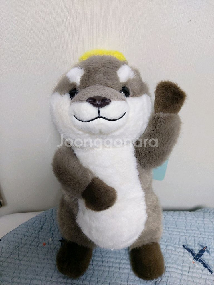 해달수달인형 도모다치 랏고짱 해변 새상품--0