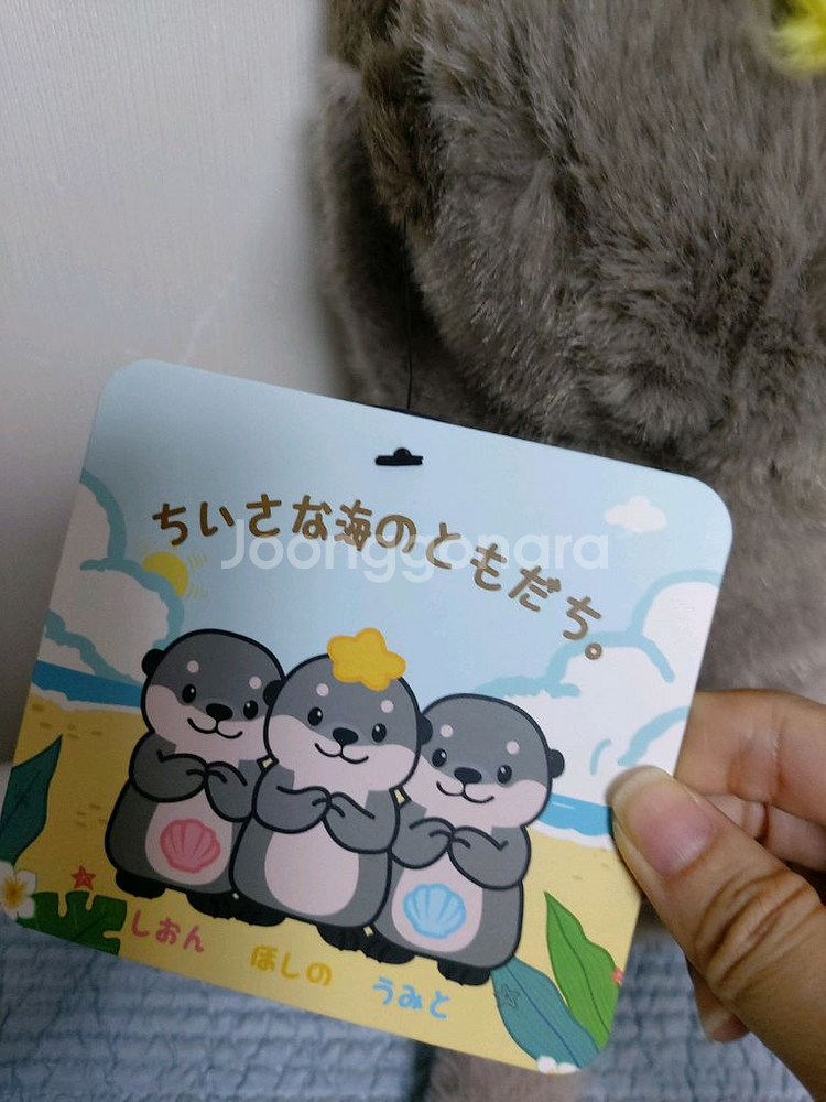 해달수달인형 도모다치 랏고짱 해변 새상품--3