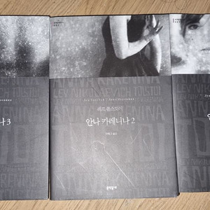 안나카레니나 (안나까레니나)