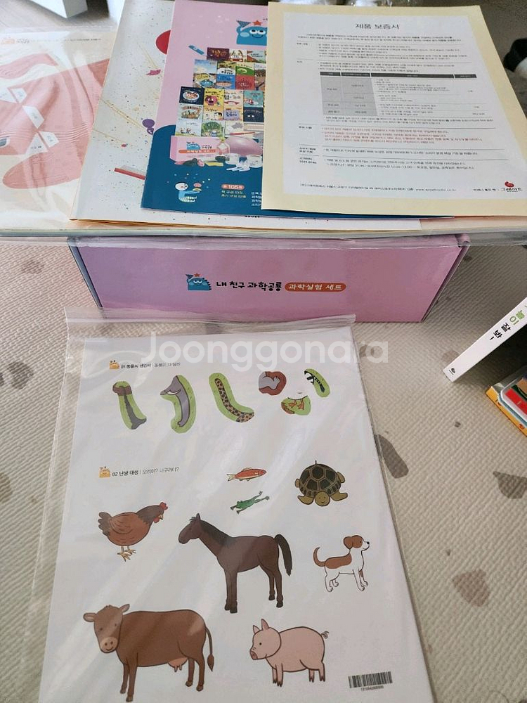 과학공룡/수학공룡/사회공룡--1