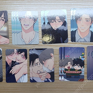 새디스틱 뷰티 컬렉션 포카 봄툰 새뷰 컬포 레진