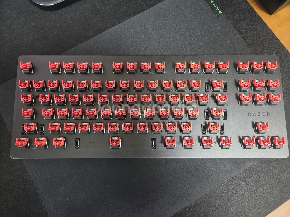 레이저 헌츠맨 V2 TKL--0