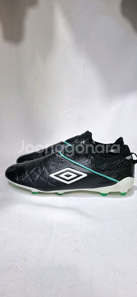 270 엄브로 끈없는 축구화--0