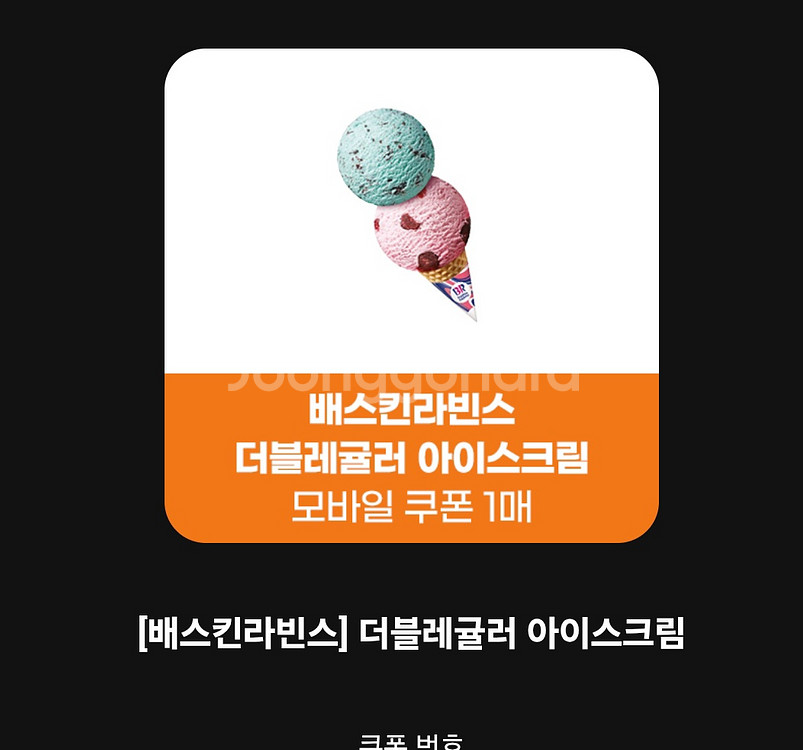 배스킨라빈스 더블레귤러--0