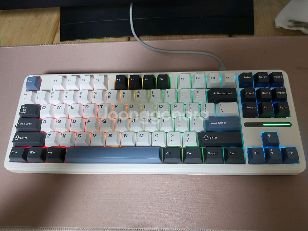 독거미 f87pro 황축--0