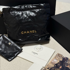 샤넬 22백 스몰 사이즈 미사용 새제품 팝니다.