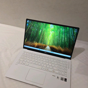 LG그램15.6인치 노트북 1tb 1테라 15z90n