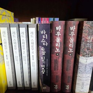 상태 깨끗한 소설책 11권 (새책포함)