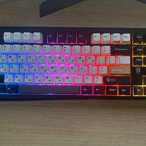 아콘 f1 pro tkl 마에스트로 저소음 피치축