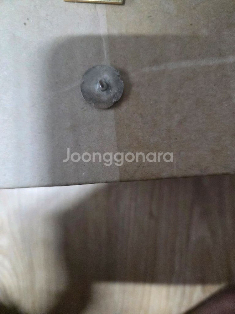 이화여대 뱃지--1