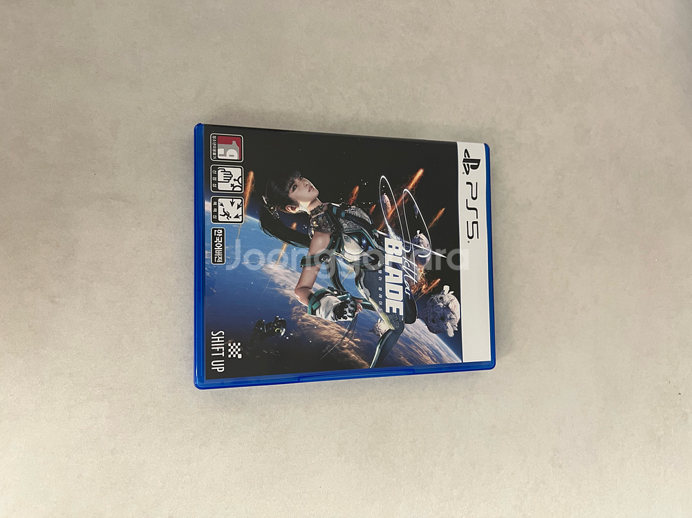 ps5 스텔라블레이드 디스크--0