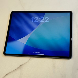 iPad Pro 12.9인치 5세대 512GB 셀룰러