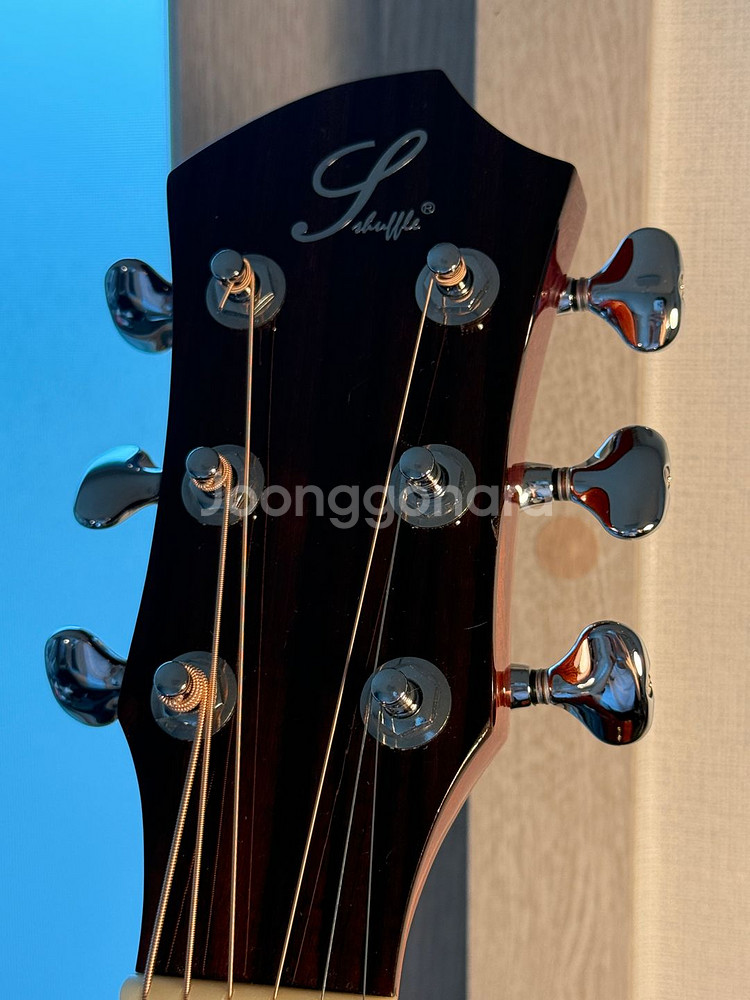 올솔리드 수제기타 + 피쉬맨 레어어스 블렌드 픽업--2