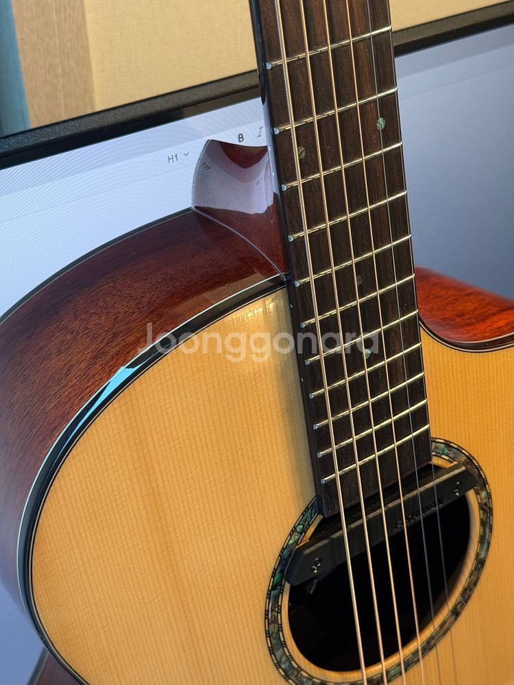 올솔리드 수제기타 + 피쉬맨 레어어스 블렌드 픽업--3