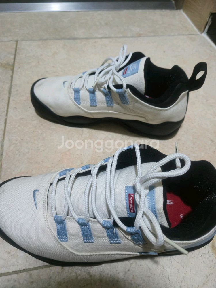 나이키 x 슈프림 sb다윈로우 화이트 280--1