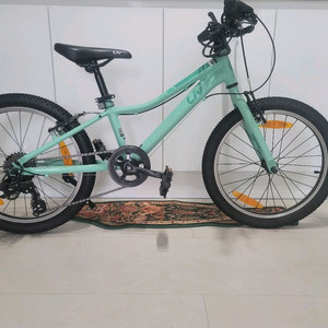 LIV (아동용 어린이용) 자전거 20인치(자이언트 여
