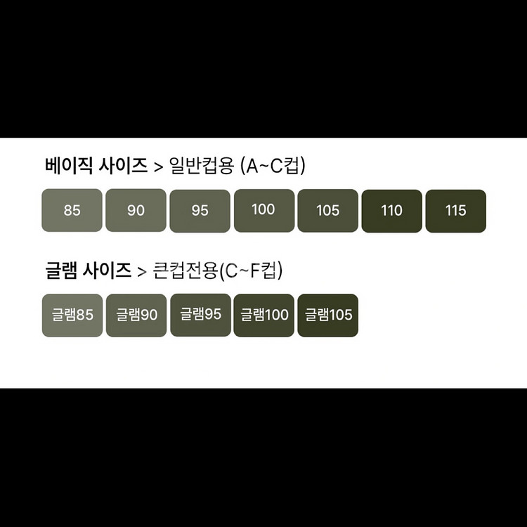 컴포트랩 스포츠 브라 95G--2