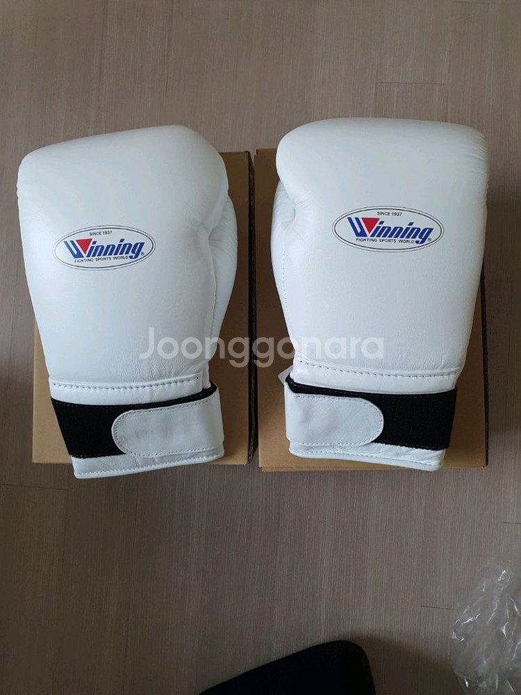 위닝 글러브 16온스--0