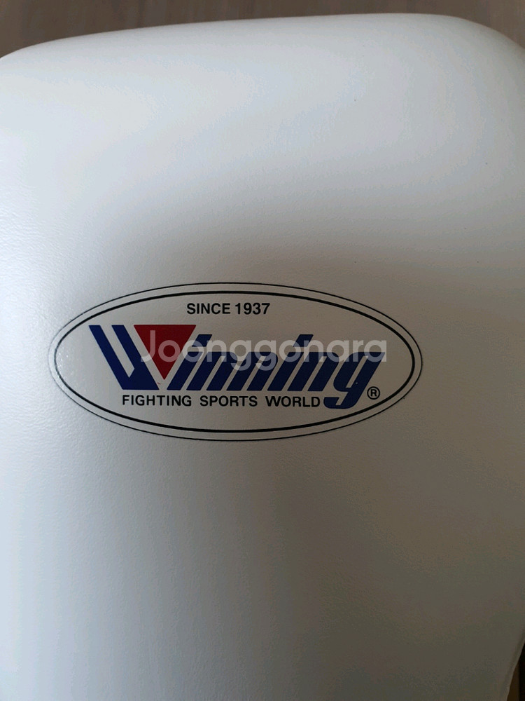 위닝 글러브 16온스--7