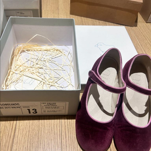 앙뉴 로벨리아 벨벳 13(200 size)