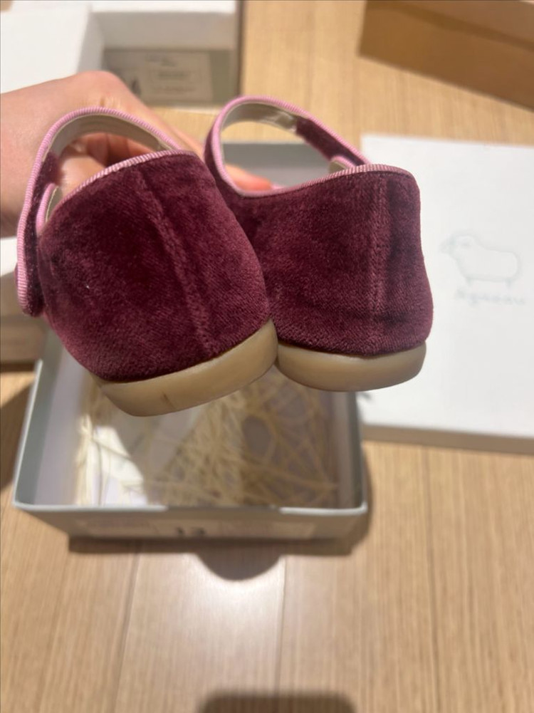 앙뉴 로벨리아 벨벳 13(200 size) 이미지